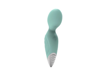 Small Wand Massager IJW-WM12