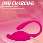 Love Egg Vibrator APP Romote Controlled IJW-LE02 - Image 7