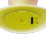 Anal Toy with Bright Color IJW-AT20 - Image 4