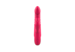 Rabbit Vibrator with Rotate Function IJW-V089 - Image 8